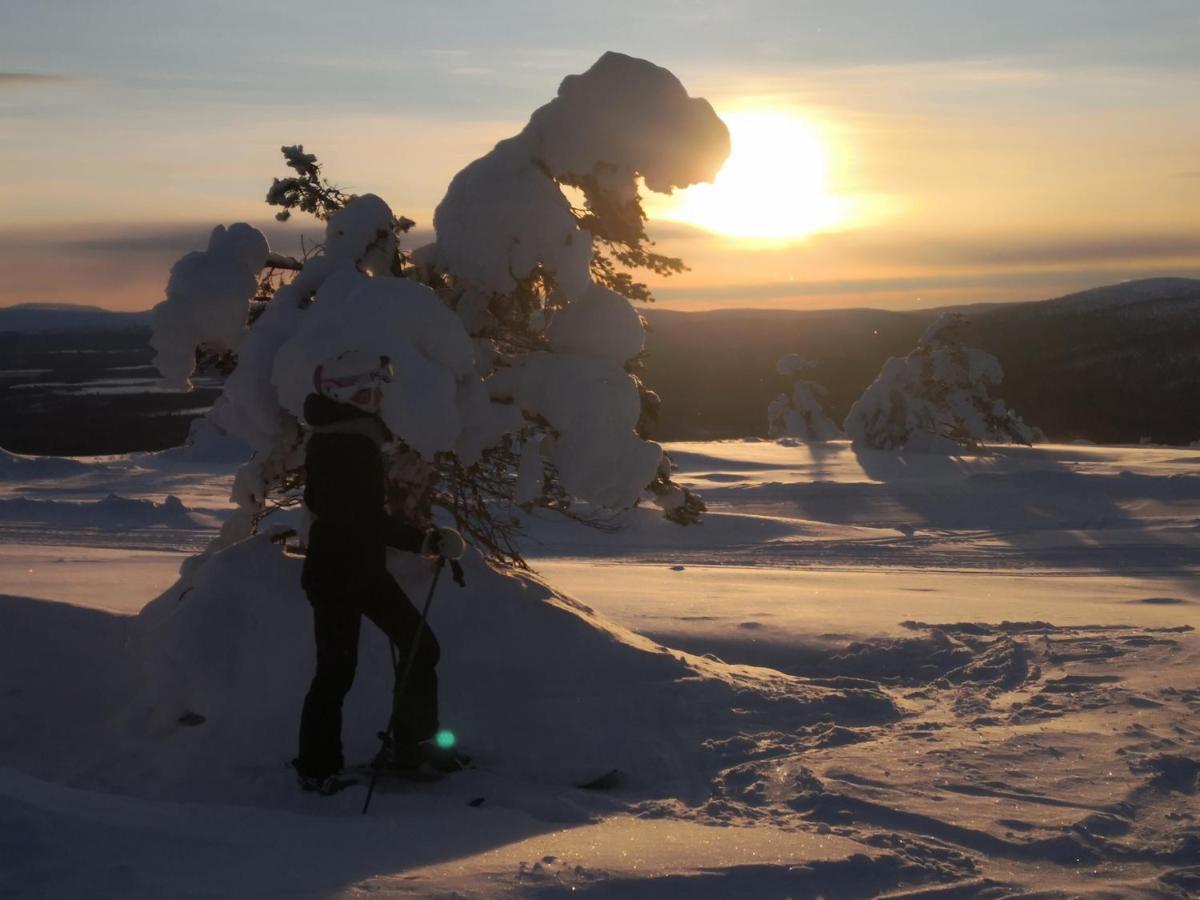 Levi Ski-Star 213 ภายนอก รูปภาพ
